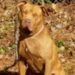 Meet your Posher, Curt